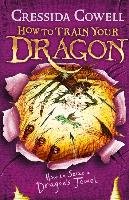 How to Train Your Dragon: How to Seize a Dragon's Jewel Cowell Cressida