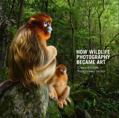 How Wildlife Photography Became Art: 55 Years of Wildlife Photographer of the Year The Natural History Museum