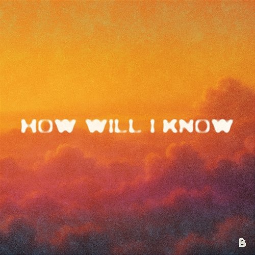 How Will I Know LEWS feat. Naelii