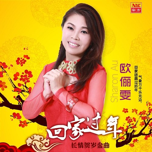 Hui Jia Guo Nian Ou Li Wen