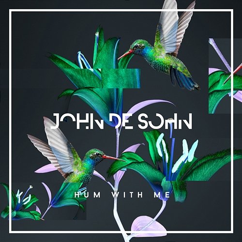 Hum With Me John De Sohn