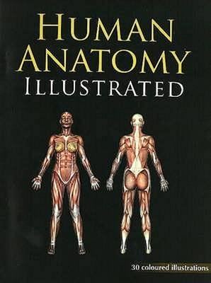 Human Anatomy Illustrated Jain B., Jain Publishers B.