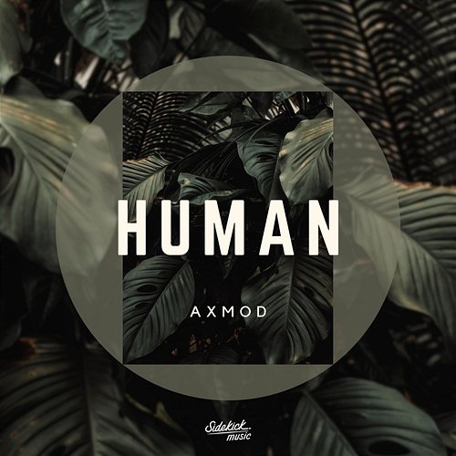 Human Axmod