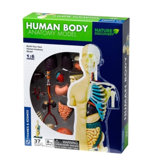 Human Body THAMES & KOSMOS