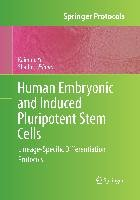 Human Embryonic and Induced Pluripotent Stem Cells - Humana Press ...