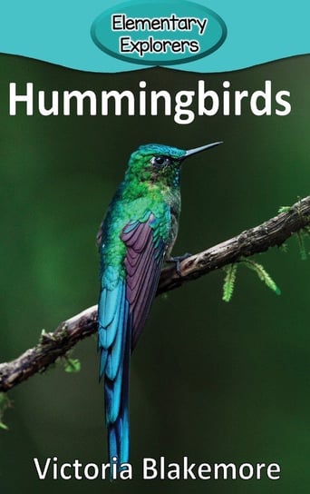 Hummingbirds Blakemore Victoria