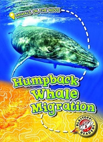 Humpback Whale Migration Kari Schuetz
