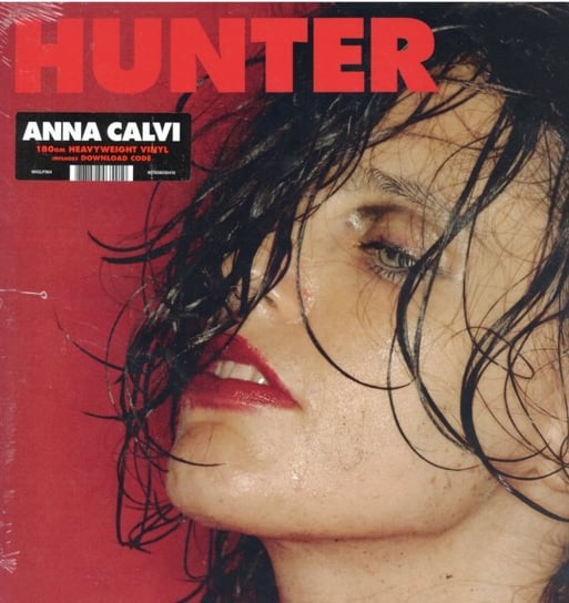 Hunter, płyta winylowa Calvi Anna