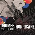 Hurricane Gromee feat. Terri B!