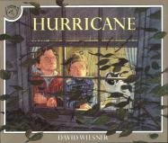Hurricane Wiesner David