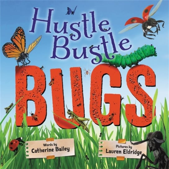 Hustle Bustle Bugs Bailey Catherine