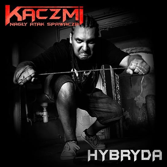 Hybryda Kaczmi