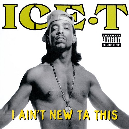I Ain't New Ta This Ice T