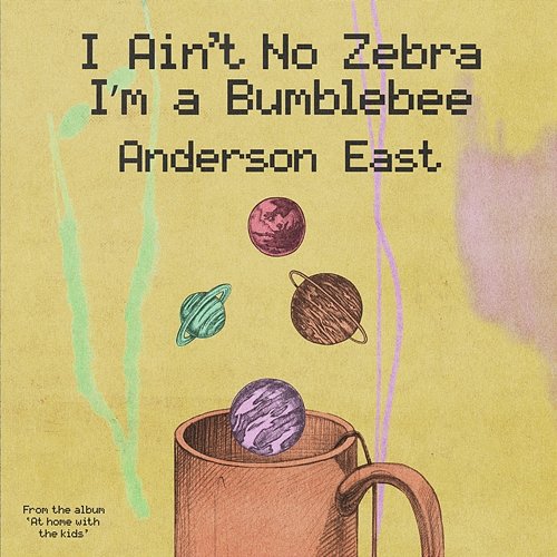 I Ain't No Zebra I'm a Bumblebee Anderson East