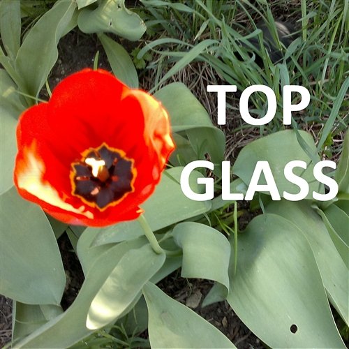 I Can't Stop Top Glass