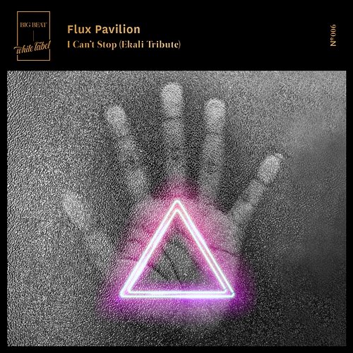 I Can't Stop (Ekali Tribute) Flux Pavilion