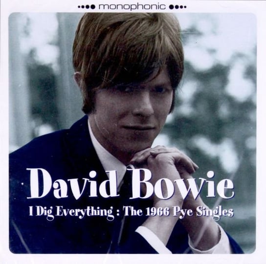 I Dig Everything Bowie David