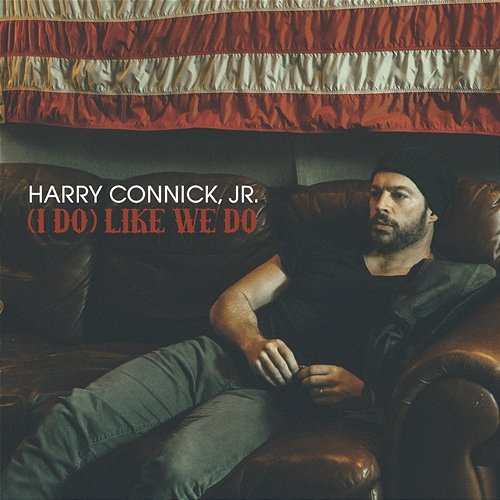 (I Do) Like We Do Harry Connick Jr.