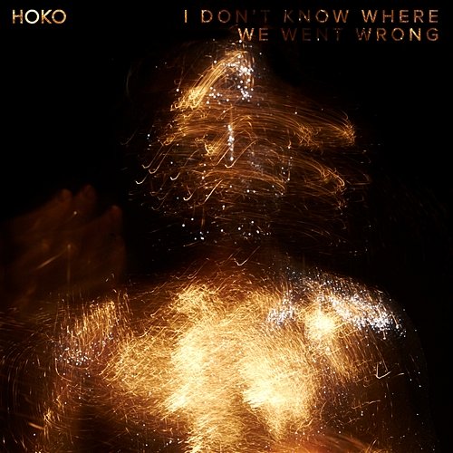 I Don't Know Where We Went Wrong HOKO