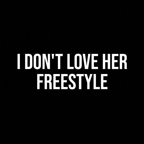 I Don't Love Her Freestyle 1738pharmacist