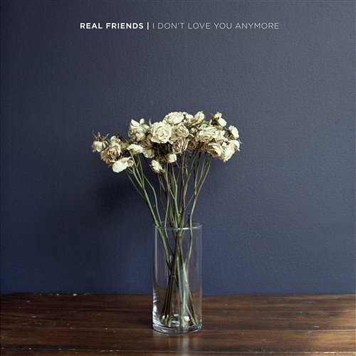 I Don't Love You Anymore Real Friends