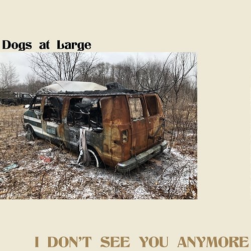 I Don't See You Anymore Dogs at Large