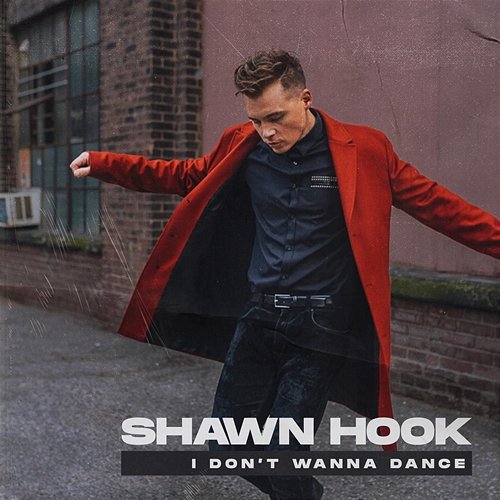 I Don't Wanna Dance Shawn Hook