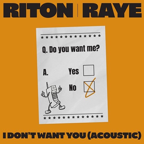 I Don't Want You Riton x RAYE