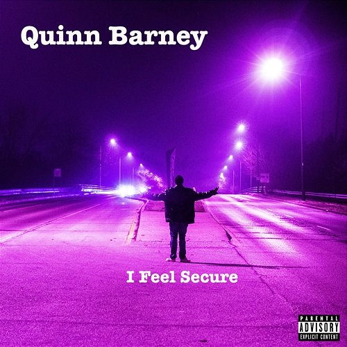 I Feel Secure Quinn Barney