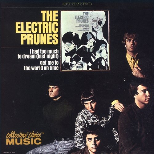 I Had Too Much To Dream (Last Night) The Electric Prunes