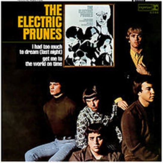 I Had Too Much to Dream (Last Night) The Electric Prunes