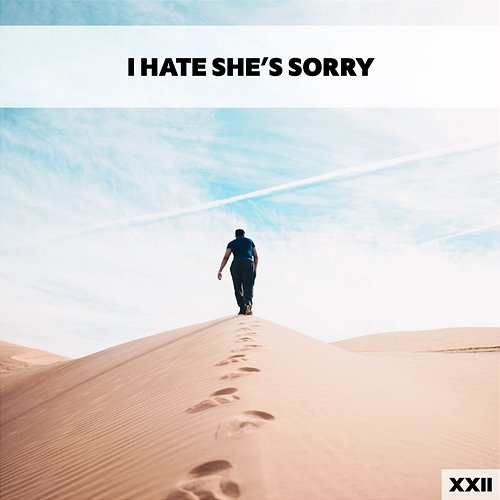 I Hate She's Sorry XXII Various Artists