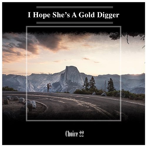 I Hope She's A Gold Digger Choice 22 Various Artists