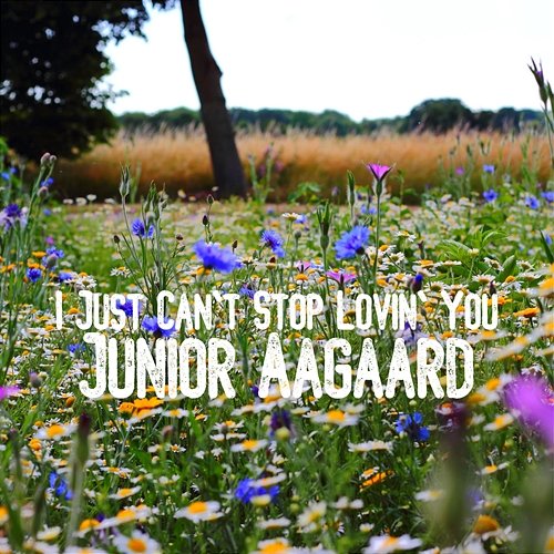 I Just Can't Stop Lovin' You Junior Aagaard