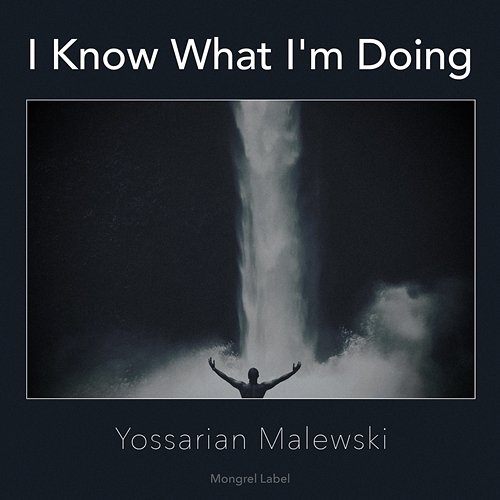 I Know What I'm Doing Yossarian Malewski