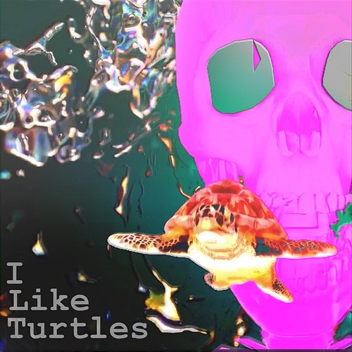 I Like Turtles Ike Spivak