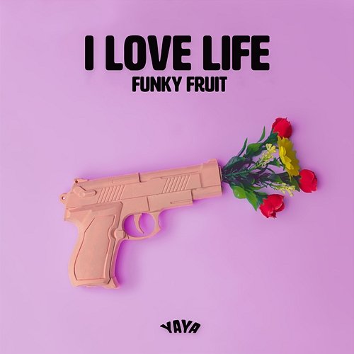 I Love Life Funky Fruit feat. SBSTN