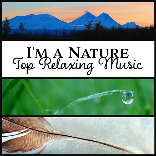 I’m a Nature – Top Relaxing Music: Mind Regeneration, Smart Healing, Blissful Experience, Private Paradise, Sounds of Harmony Chill Step Masters