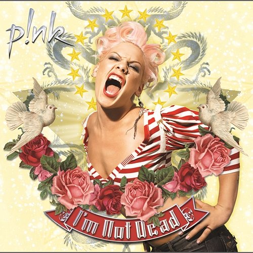 Nobody Knows P!nk