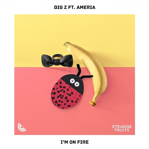I'm On Fire Big Z feat. Ameria