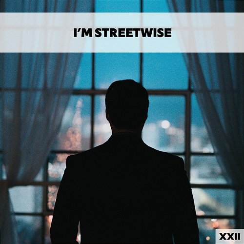 I'm Streetwise XXII Various Artists