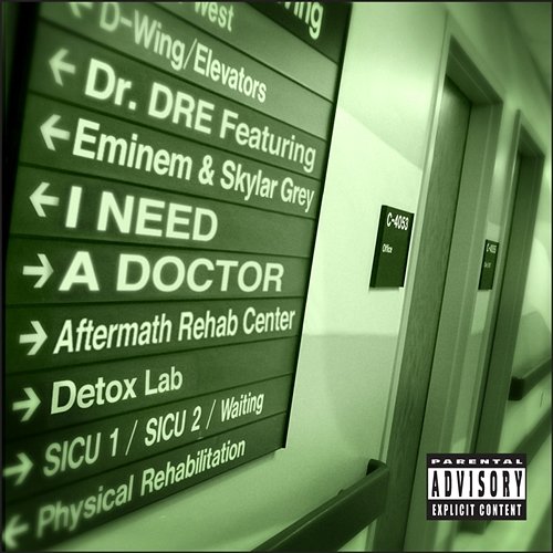 I Need A Doctor Dr. Dre feat. Eminem, Skylar Grey