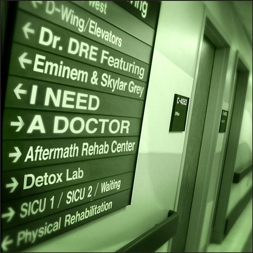 I Need A Doctor Dr. Dre feat. Eminem, Skylar Grey