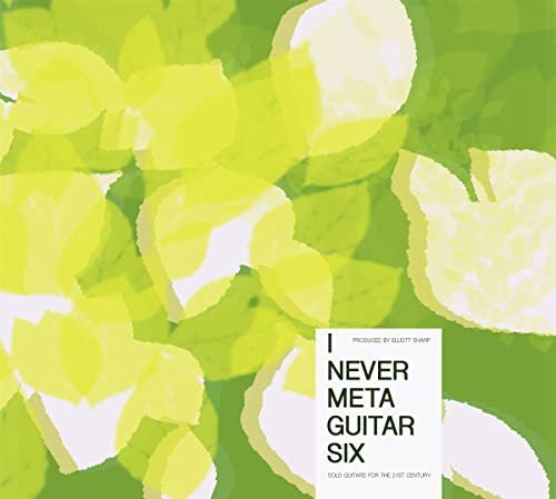 I Never Metaguitar 6 Various Artists