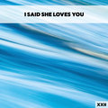 I Said She Loves You XXII Various Artists