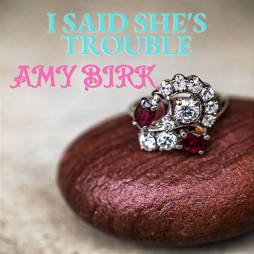 I Said She's Trouble Amy Birk