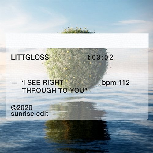I See Right Through To You LittGloss