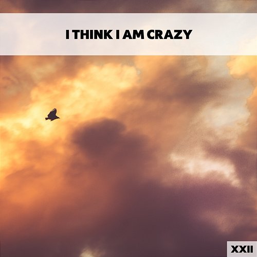 I Think I Am Crazy XXII Various Artists