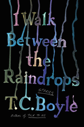 I Walk Between the Raindrops HarperCollins US