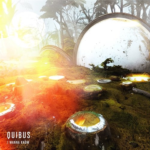 I Wanna Know Quibus